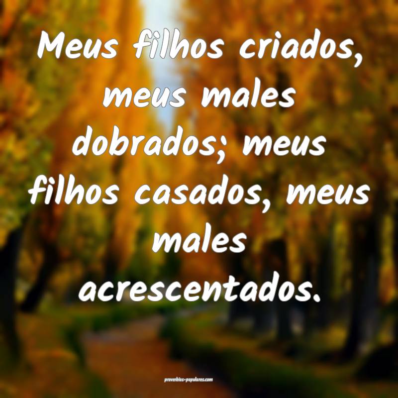 Meus filhos criados, meus males dobrados; meus filhos casados, meus ma...