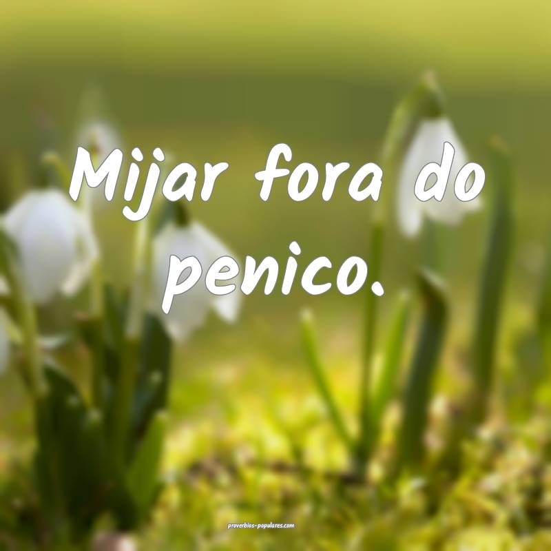 Mijar fora do penico.
...