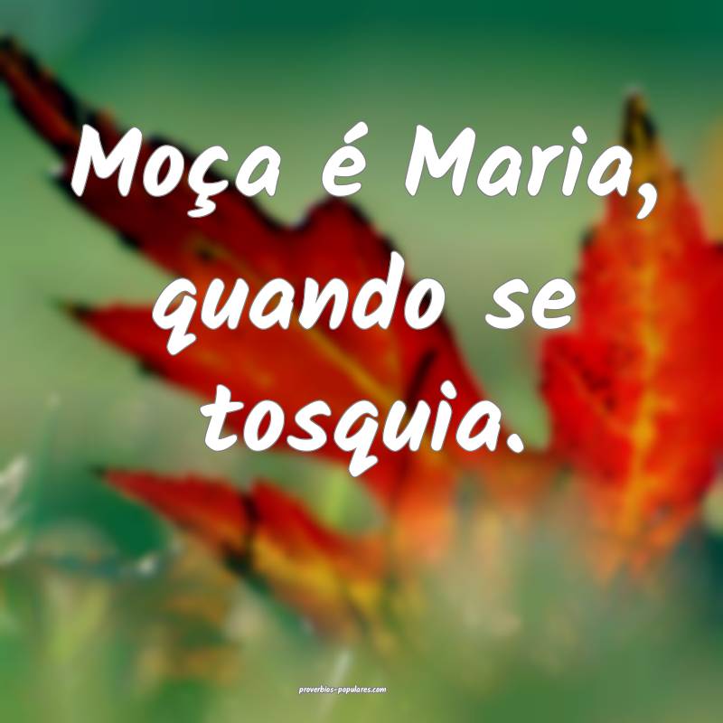 Moça é Maria, quando se tosquia.
...