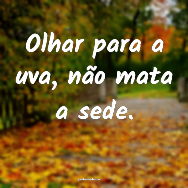 Olhar para a uva, não mata a sede.
...