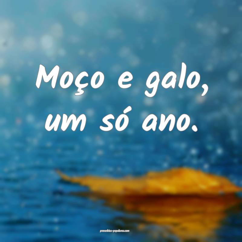 Moço e galo, um só ano.
 ...