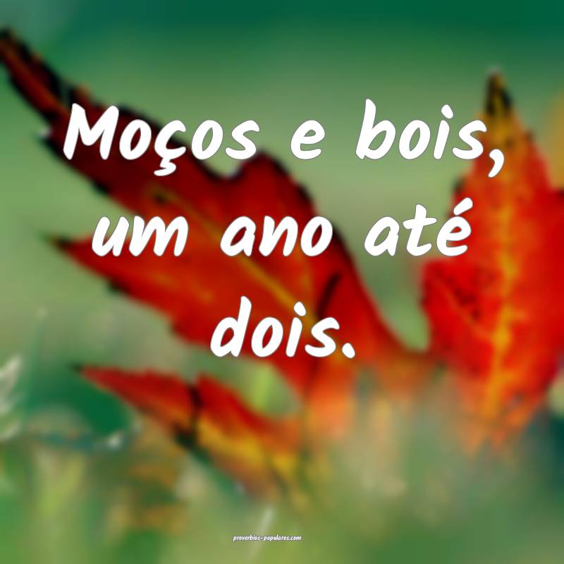 Moços e bois, um ano até dois.
...