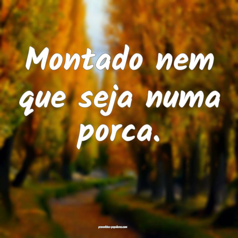 Montado nem que seja numa porca.
...