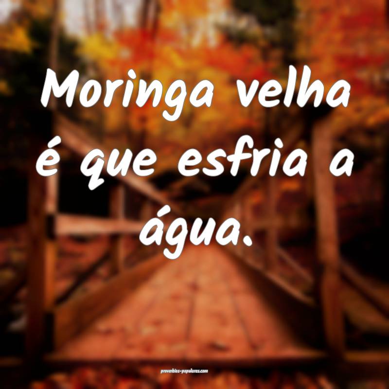 Moringa velha é que esfria a água.
...