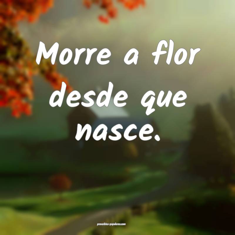 Morre a flor desde que nasce.
...