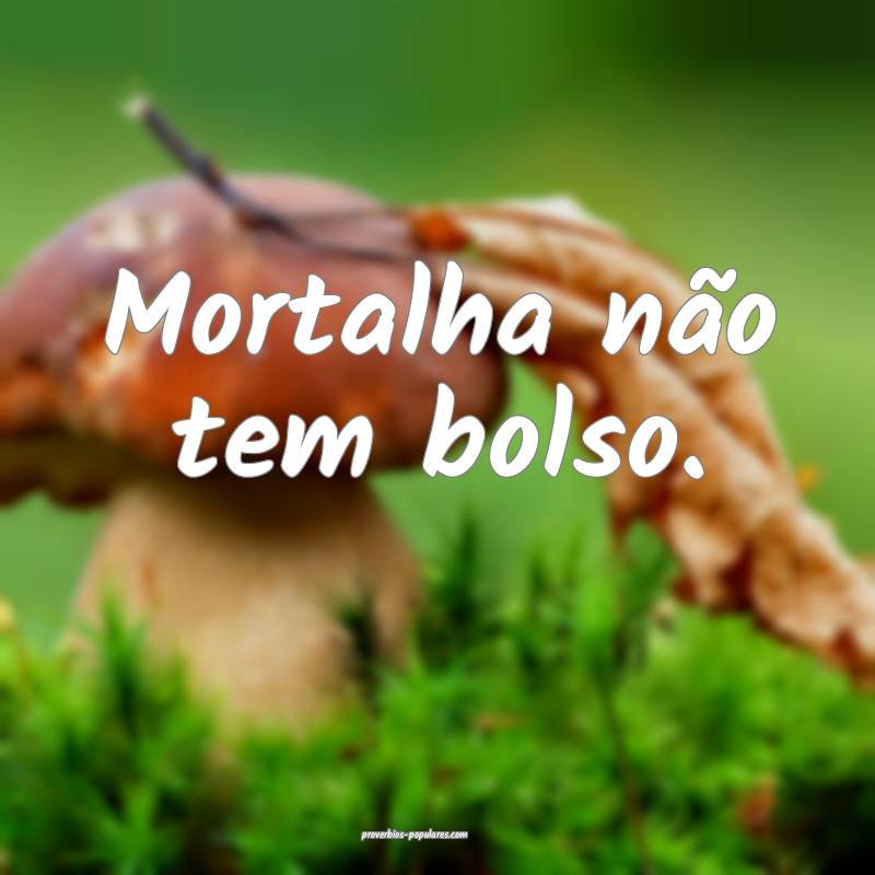 Mortalha não tem bolso.
...