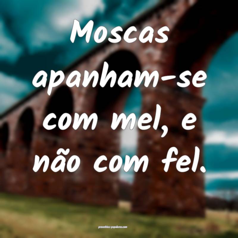 Moscas apanham-se com mel, e não com fel.
...