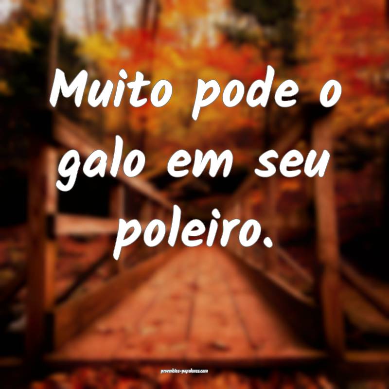 Muito pode o galo em seu poleiro.
 ...