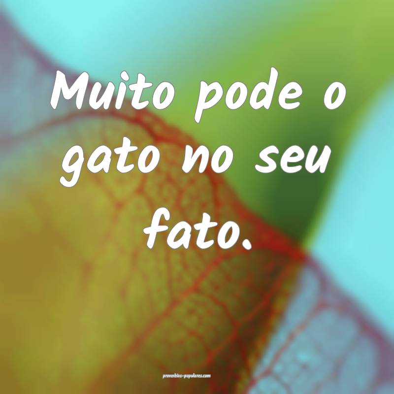 Muito pode o gato no seu fato.
...