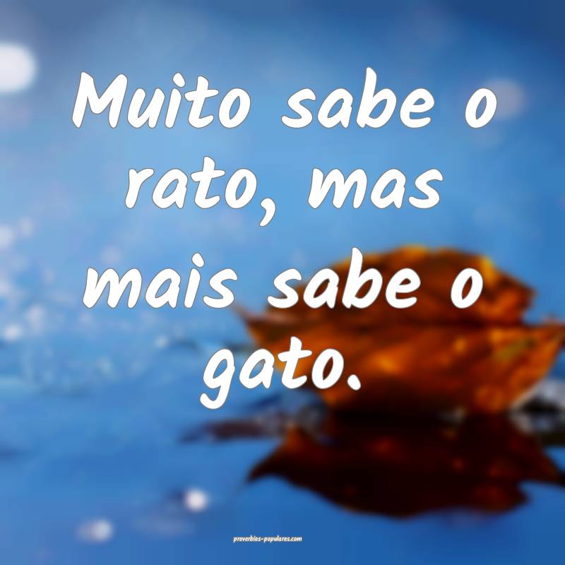 Muito sabe o rato, mas mais sabe o gato.
...