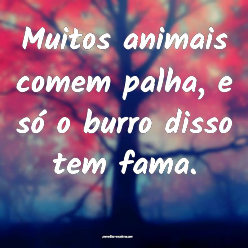 Muitos animais comem palha, e só o burro disso tem fama.
...
