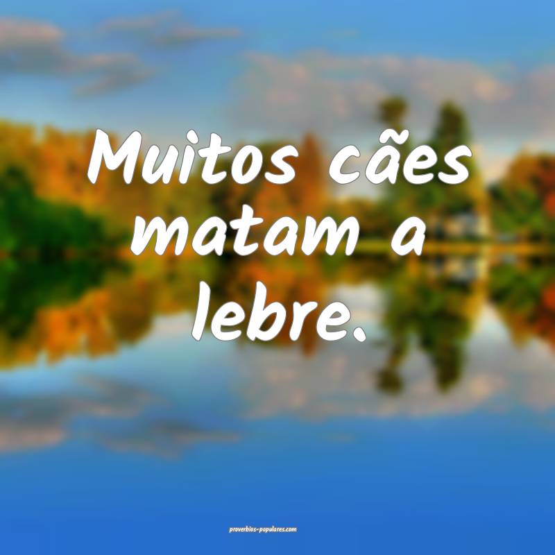 Muitos cães matam a lebre.
...