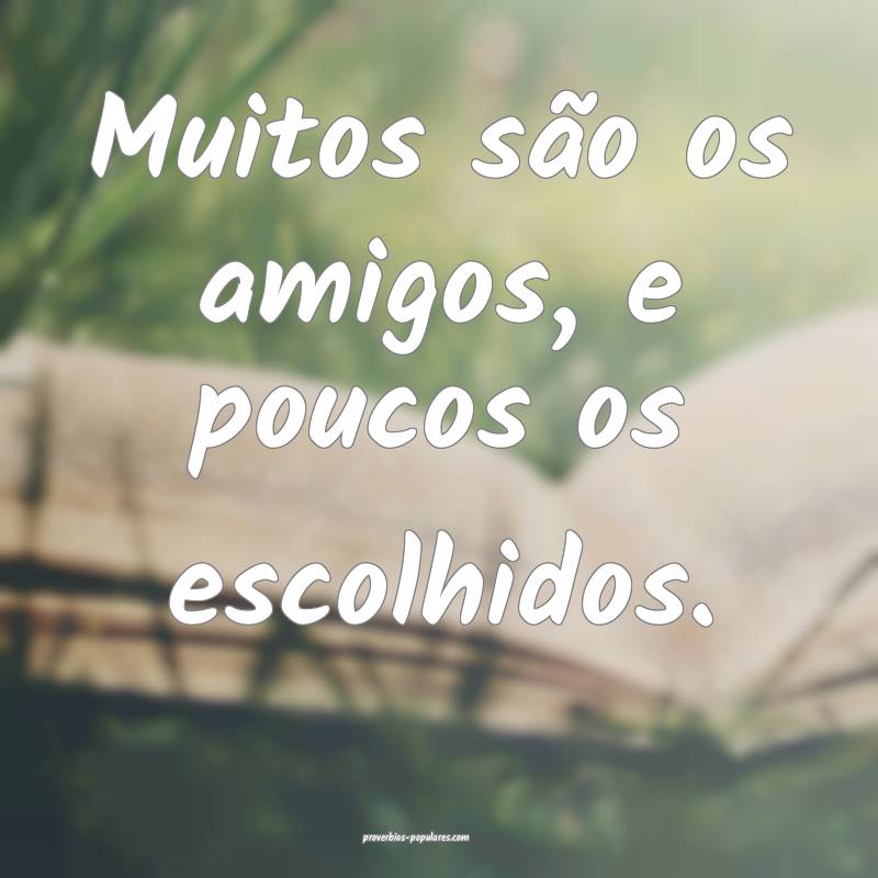Muitos são os amigos, e poucos os escolhidos.
...