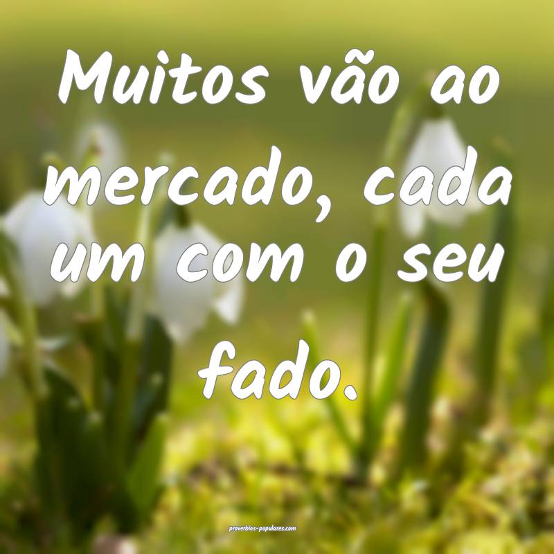 Muitos vão ao mercado, cada um com o seu fado.
...