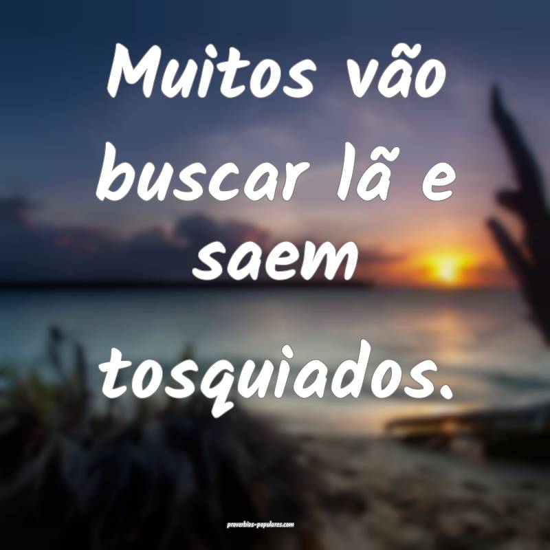 Muitos vão buscar lã e saem tosquiados.
...