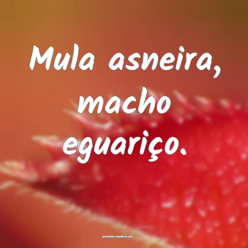 Mula asneira, macho eguariço.
 ...