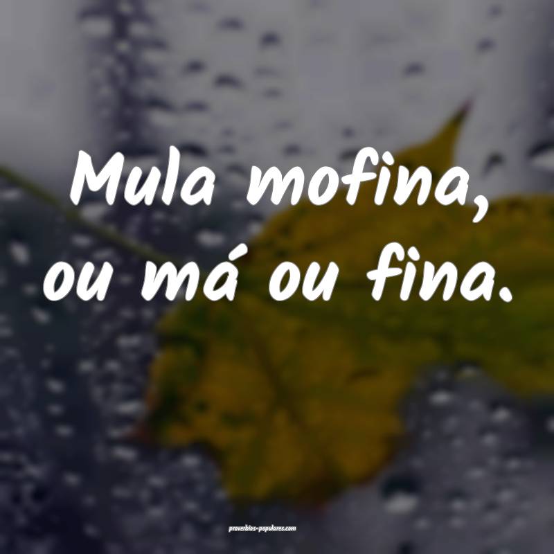Mula mofina, ou má ou fina.
...