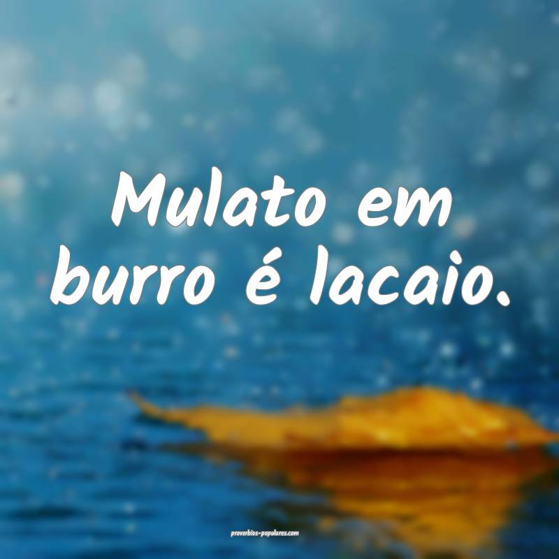 Mulato em burro é lacaio.
 ...