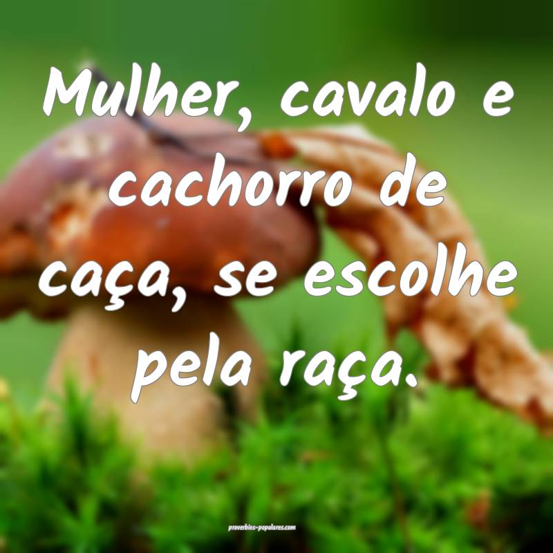 Mulher, cavalo e cachorro de caça, se escolhe pel ...
