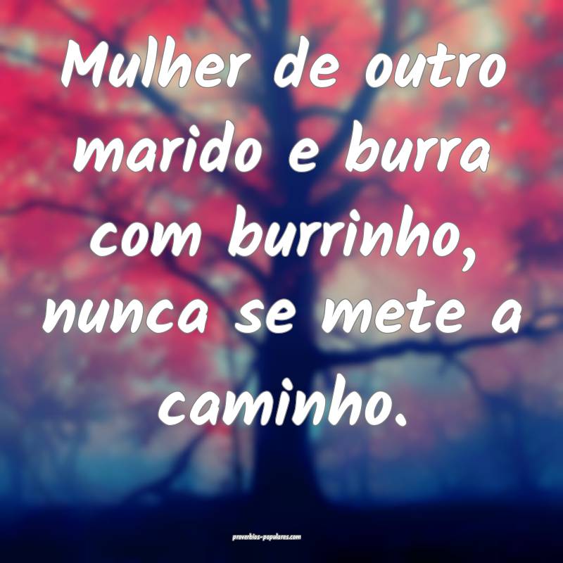 Mulher de outro marido e burra com burrinho, nunca se mete a caminho.
...