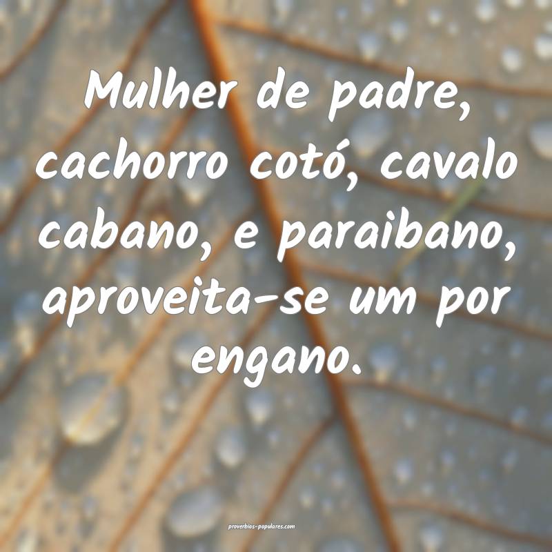 Mulher de padre, cachorro cotó, cavalo cabano, e paraibano, aproveita...