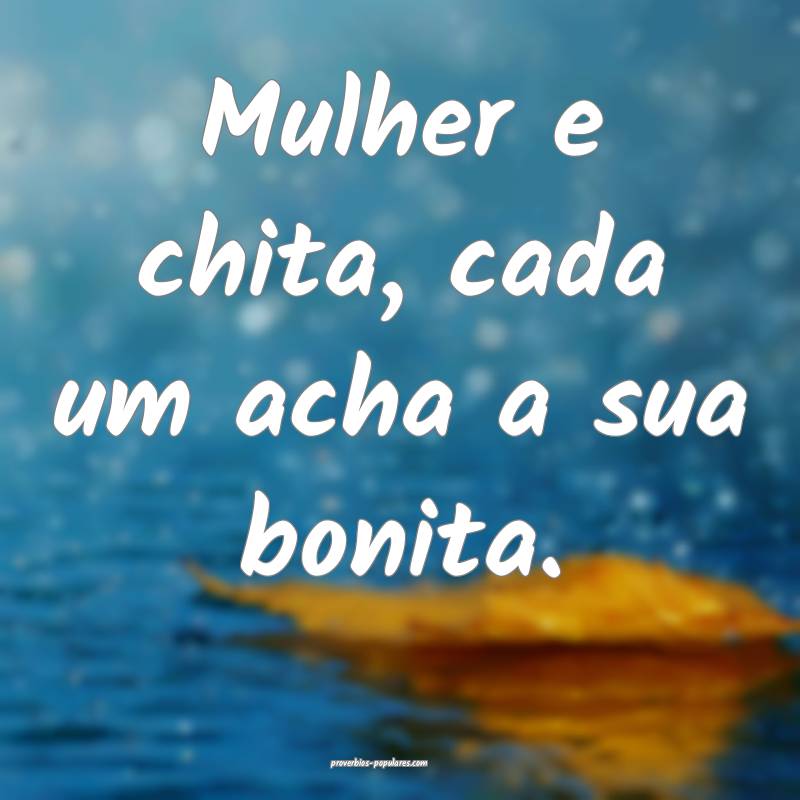 Mulher e chita, cada um acha a sua bonita.
 ...