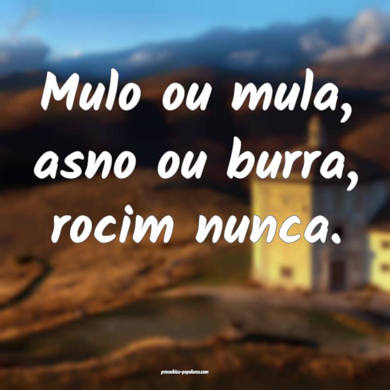 Mulo ou mula, asno ou burra, rocim nunca.
 ...