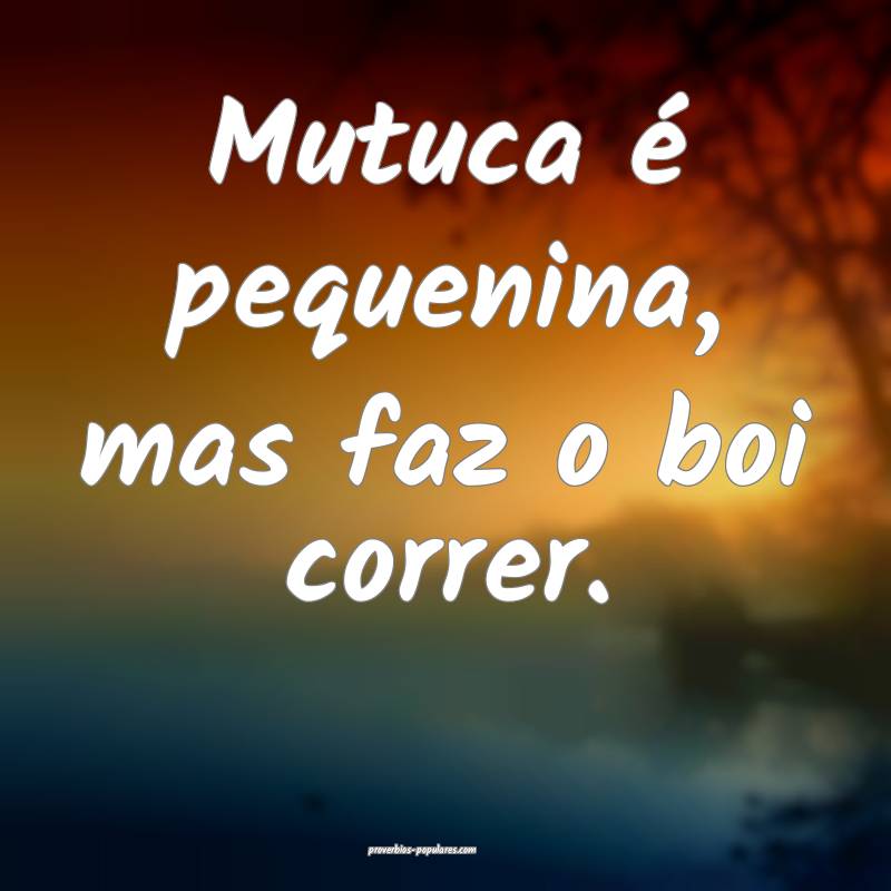 Mutuca é pequenina, mas faz o boi correr.
...