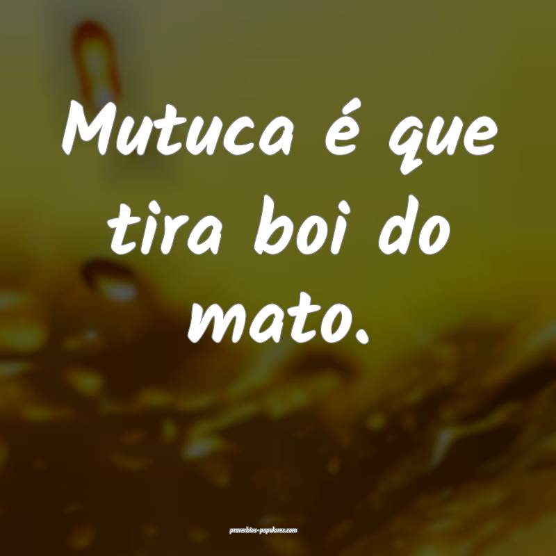 Mutuca é que tira boi do mato.
 ...