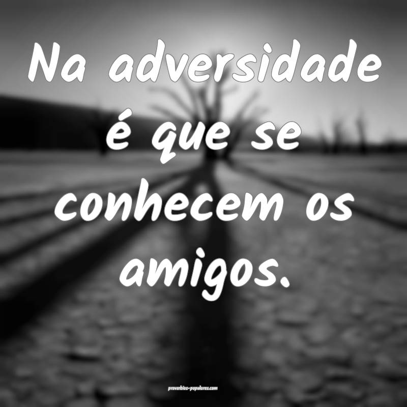 Na adversidade é que se conhecem os amigos.
 ...