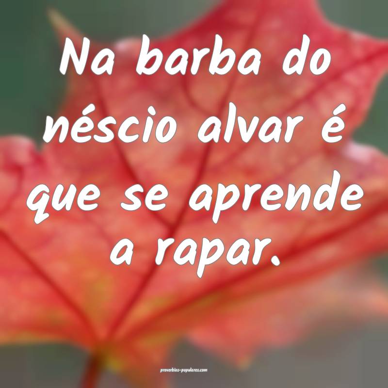 Na barba do néscio alvar é que se aprende a rapar.
...