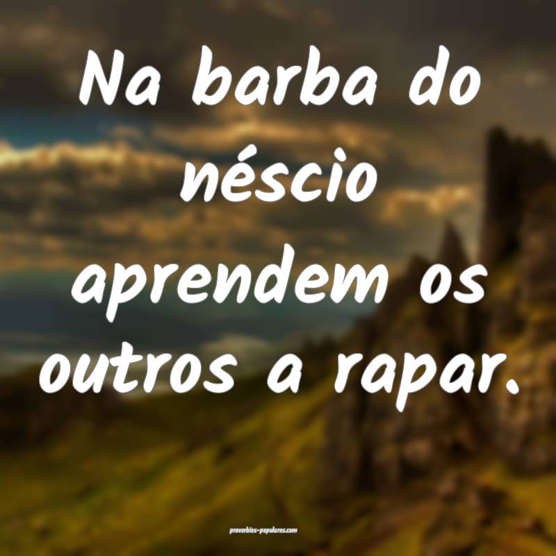 Na barba do néscio aprendem os outros a rapar.
...