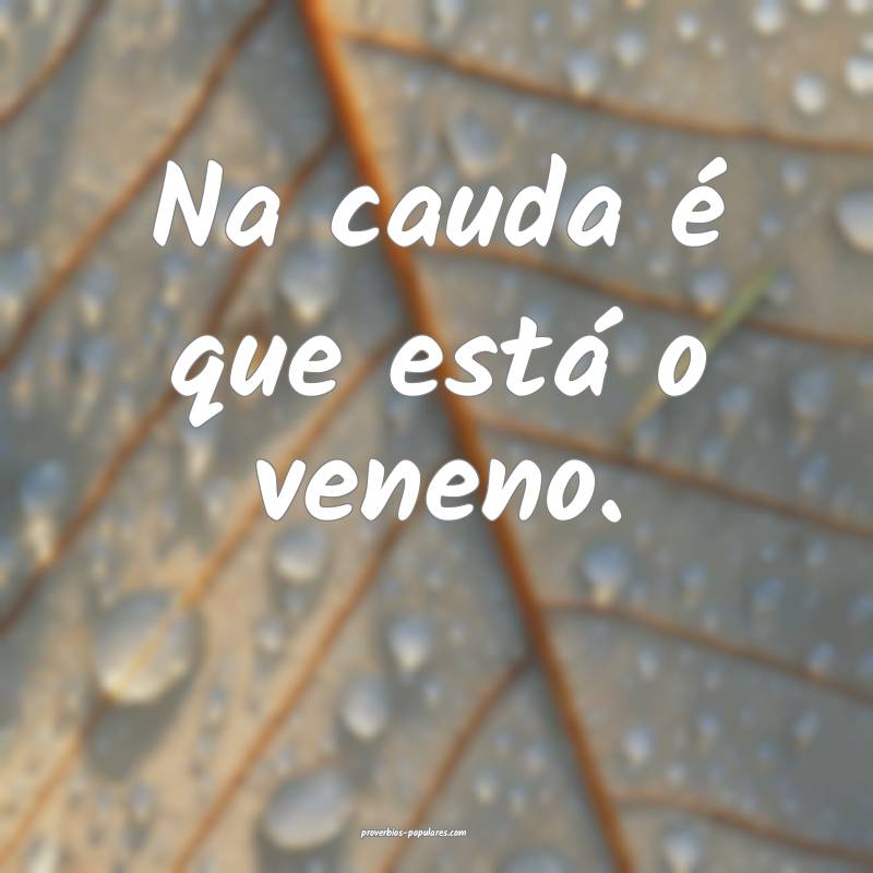 Na cauda é que está o veneno.
...