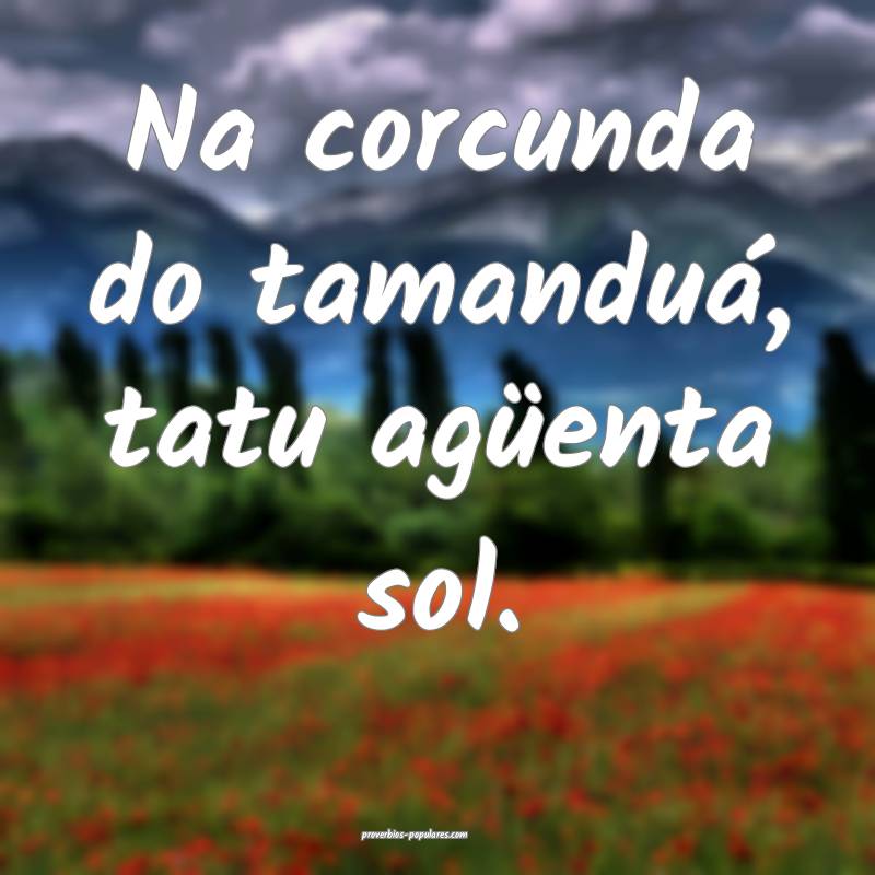 Na corcunda do tamanduá, tatu agüenta sol.
...
