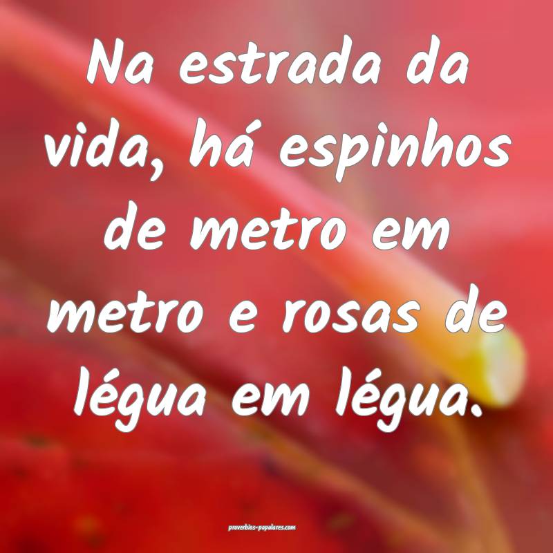 Na estrada da vida, há espinhos de metro em metro e rosas de légua e...
