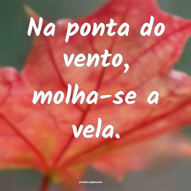 Na ponta do vento, molha-se a vela.
...