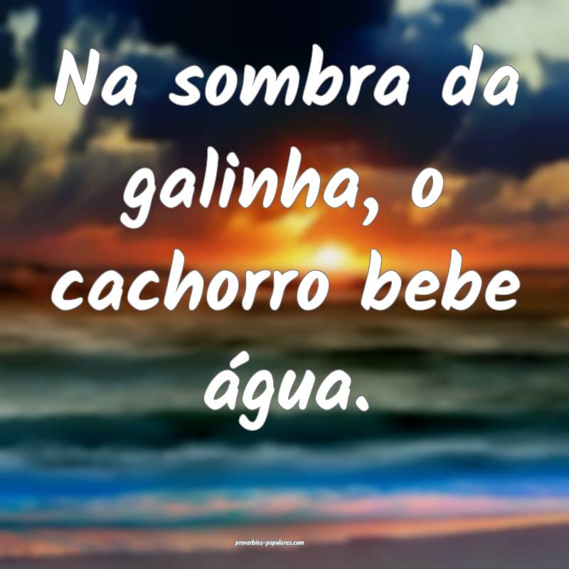 Na sombra da galinha, o cachorro bebe água.
 ...