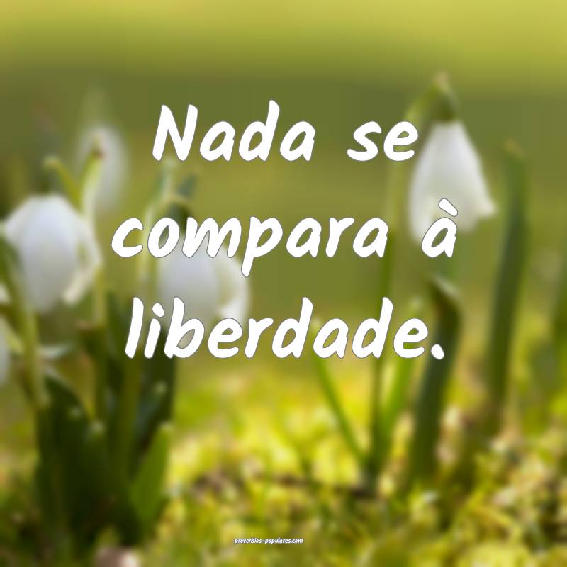 Nada se compara à liberdade.
 ...