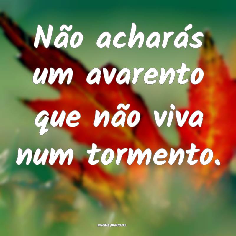 Não acharás um avarento que não viva num tormen ...