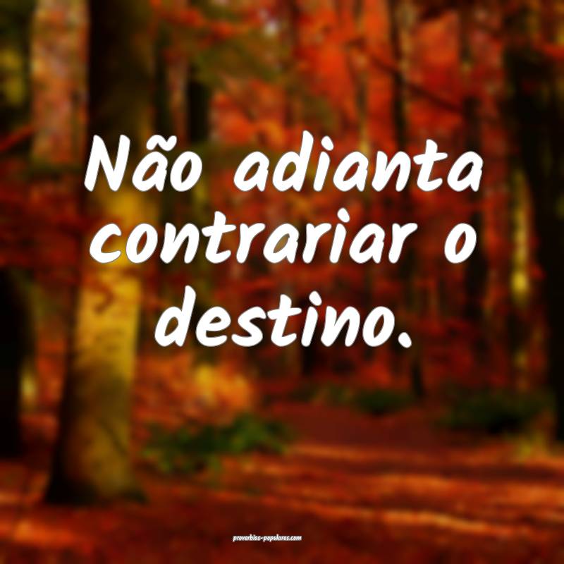 Não adianta contrariar o destino.
 ...