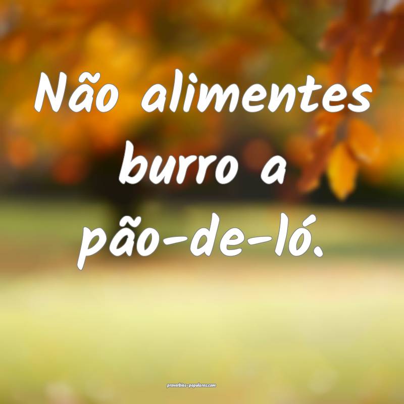 Não alimentes burro a pão-de-ló.
...