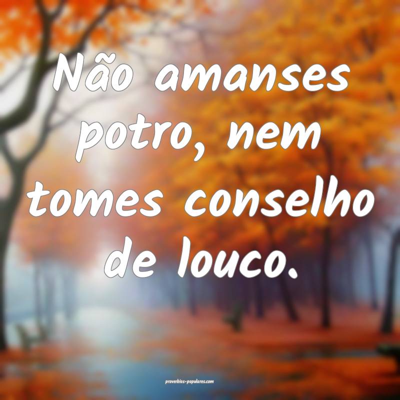 Não amanses potro, nem tomes conselho de louco.
 ...