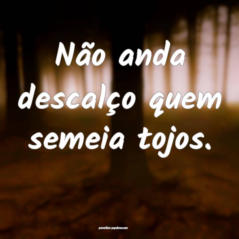 Não anda descalço quem semeia tojos.
...