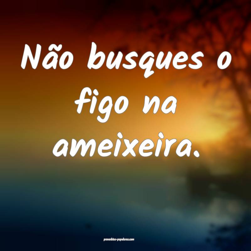 Não busques o figo na ameixeira.
...