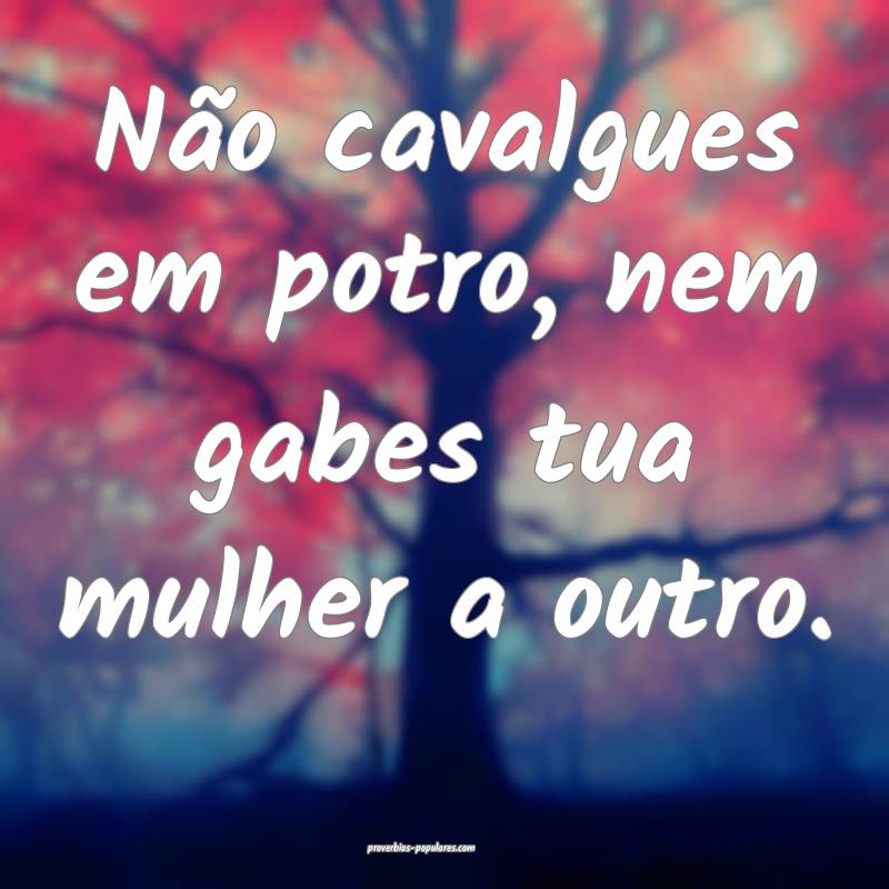 Não cavalgues em potro, nem gabes tua mulher a outro.
...