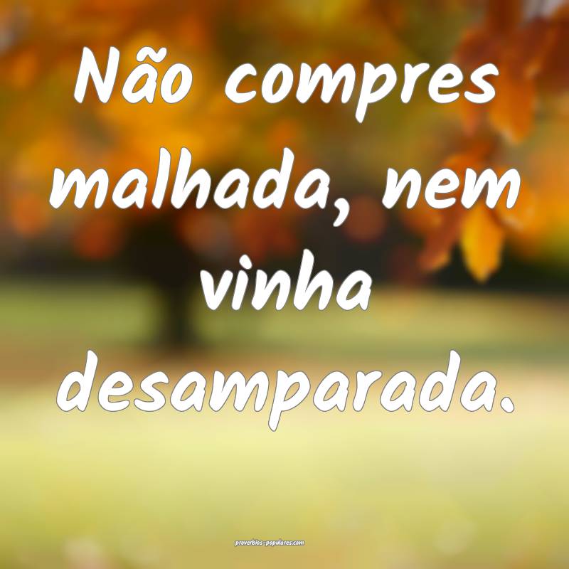 Não compres malhada, nem vinha desamparada.
 ...