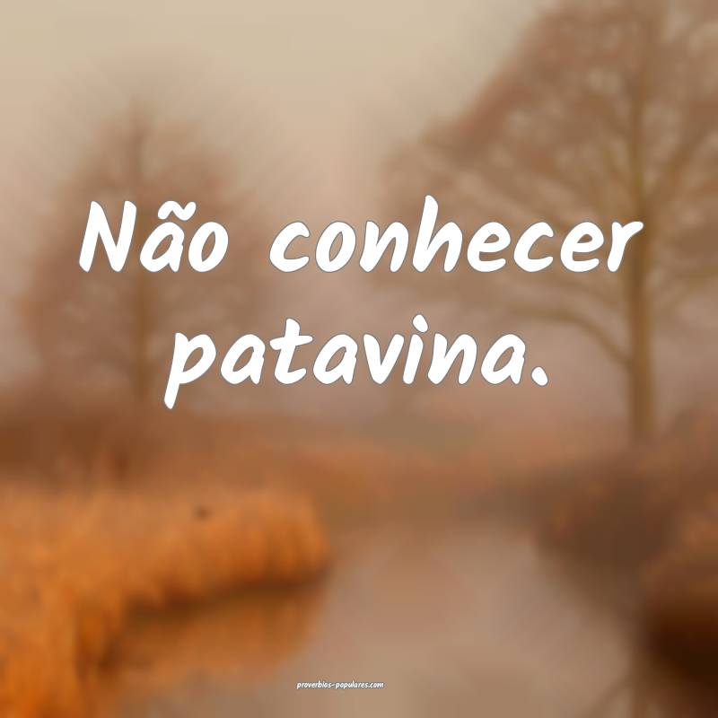 Não conhecer patavina.
...