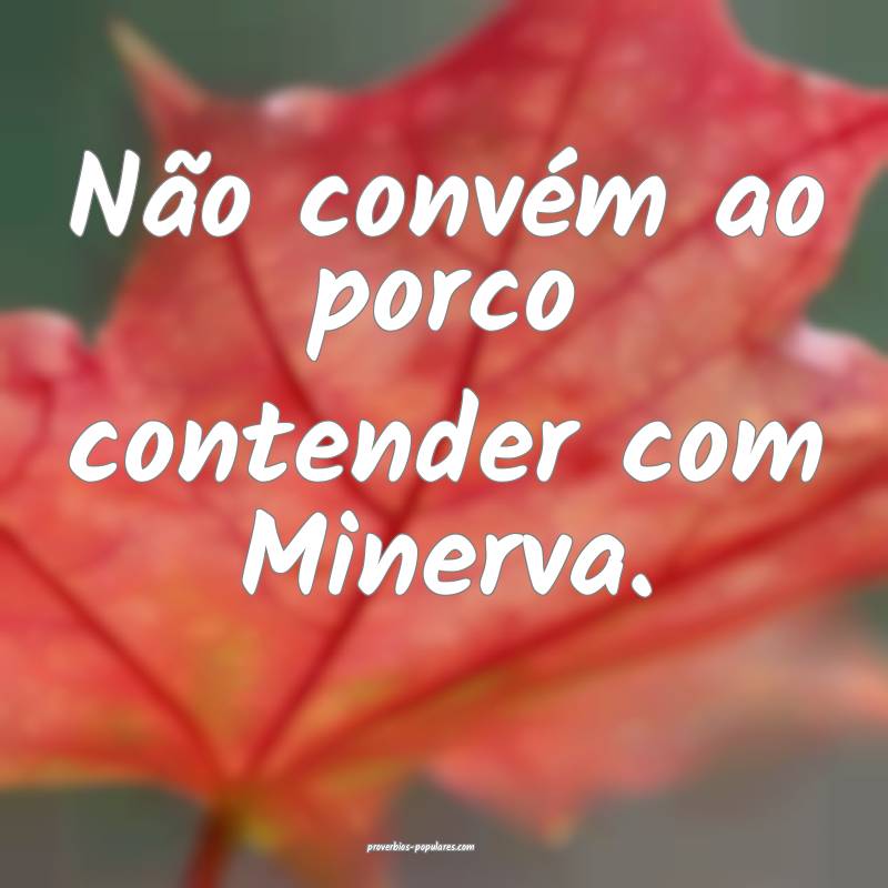 Não convém ao porco contender com Minerva.
 ...