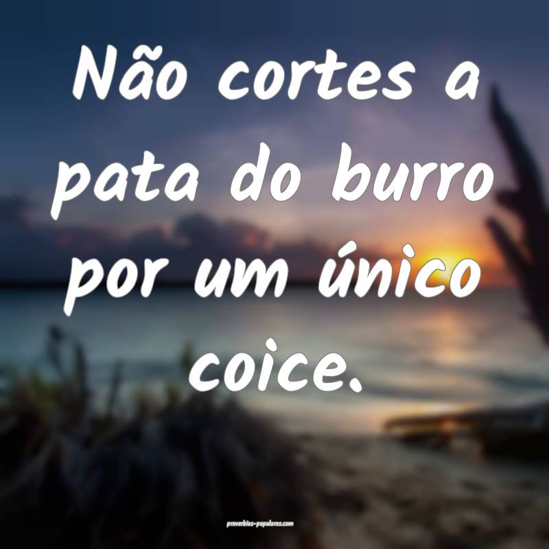 Não cortes a pata do burro por um único coice.
...