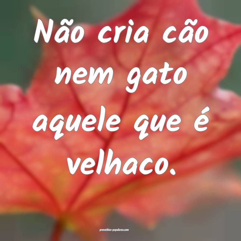 Não cria cão nem gato aquele que é velhaco.
...